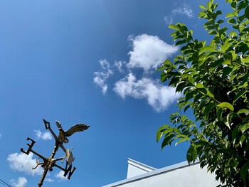 葉月八月壱週目。