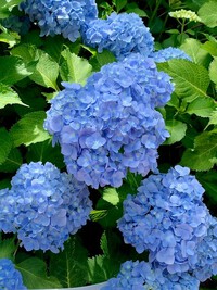 法多山尊永寺にて。