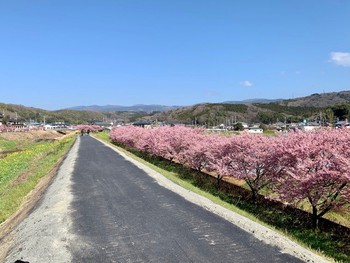 二月四週目。