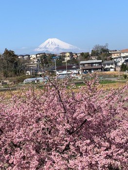 二月四週目。