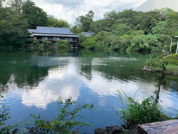三島楽寿園の小浜池。