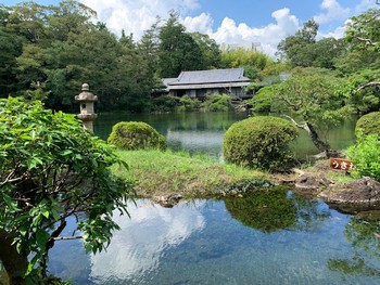 三島楽寿園の小浜池。