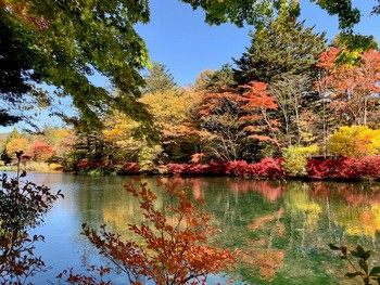 軽井沢の紅葉。