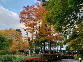 軽井沢の紅葉。