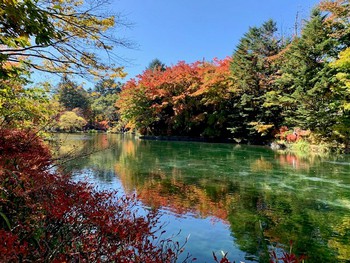 軽井沢の紅葉。