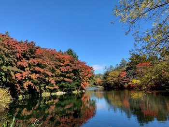 軽井沢の紅葉。