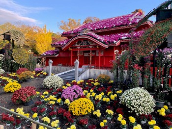 三島楽寿園にて～。