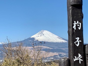 久しぶりにドライブ。