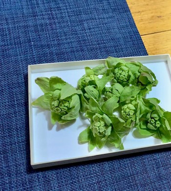 如月弐週目。