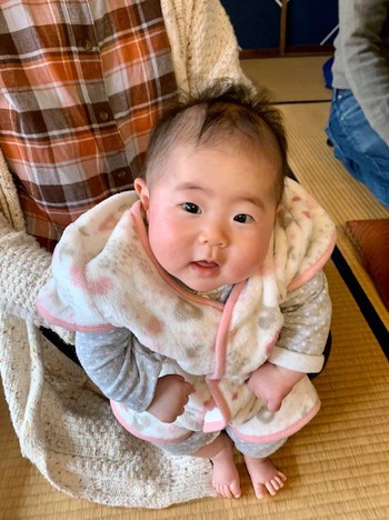 寒緋桜。