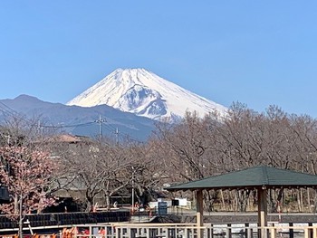 弥生三月スタート。