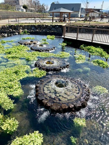 弥生三月スタート。