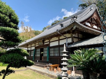 伊豆市土肥の桜、最福寺。