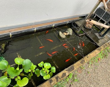 葉月立秋。