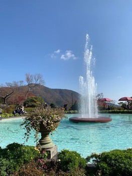 箱根強羅公園にて。