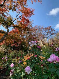 箱根強羅公園にて。