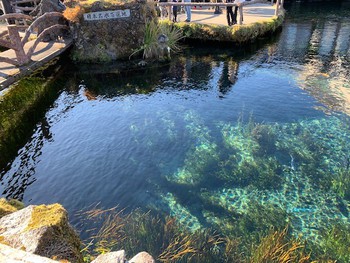 山中湖富士と忍野八海。