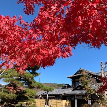 駿河小山の豊門公園。