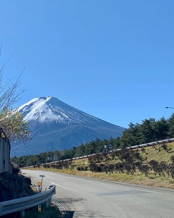 山中湖富士と忍野八海。