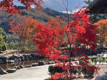 駿河小山の豊門公園。