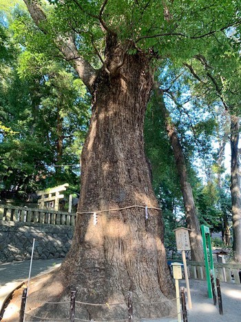 湯河原にて。