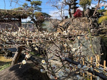 梅日和。