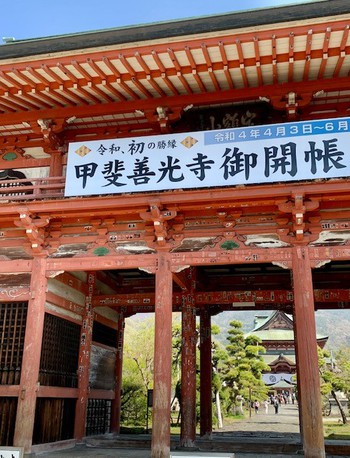 山高神代桜と甲斐善光寺。