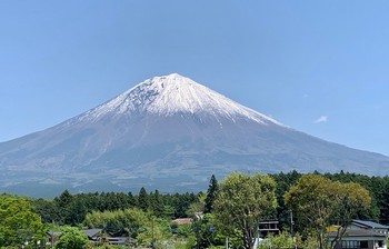 皐月五月弐週目。