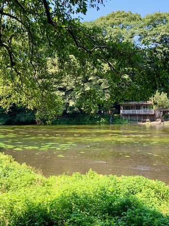 夏休み。