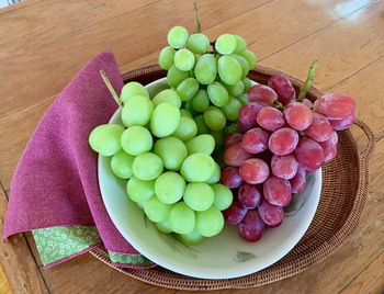 秋の味覚。