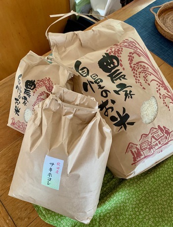 秋の味覚。