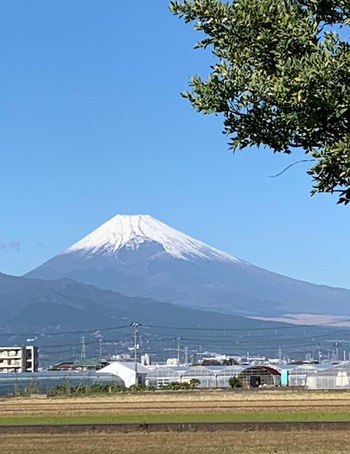 十二月師走壱週目。
