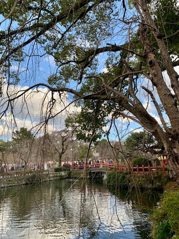 一月睦月四日。