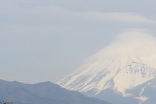 Walkerくんと御目文字かなう