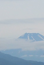 私が忙しいと奴らは退屈