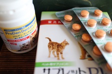Picassoのお尻が…