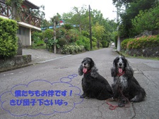 所長のお伴
