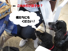 所長のお伴