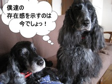 P&GのDNA