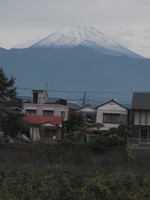 屈託なく笑える運動会