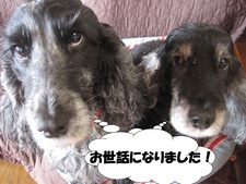 一泊二日