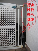 なんで　そこにいるの？