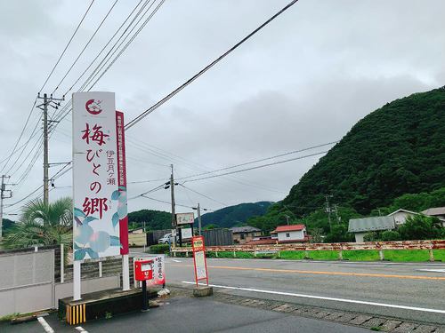 伊豆月ヶ瀬梅の里　地域活動組織との情報交換