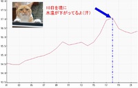 アオリイカ　春シーズン開幕！