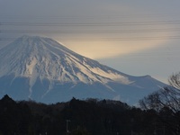 株式譲渡の申告