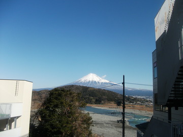 今日はラッキーデー♪