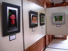 ハス寺・成福寺の写真展