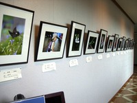 デジカメ写真展ｉｎ伊豆市