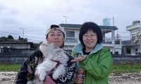 沖縄大好き人間