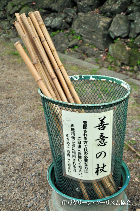善意の杖